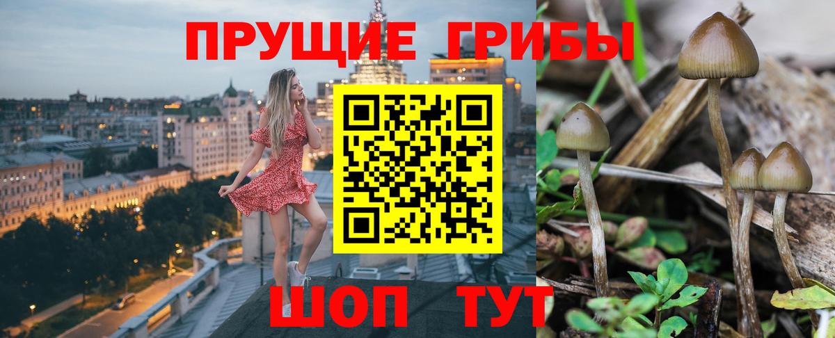 Нижний Тагил  Галлюциногенные грибы Magic Shrooms  наркота  Вход с VPN 